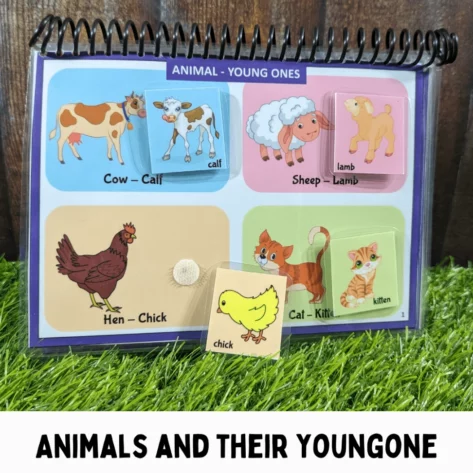 Interactive animal offspring activity book