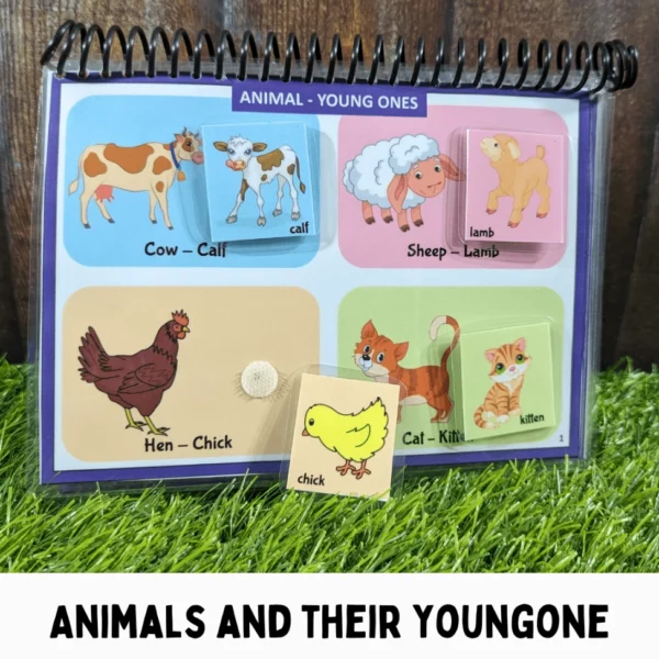 Interactive animal offspring activity book