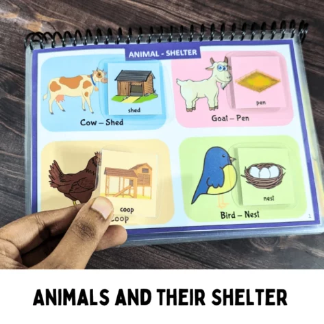 Interactive animal habitat activity book