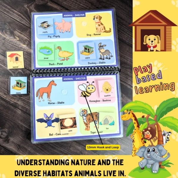 Educational animal shelter sorting binder