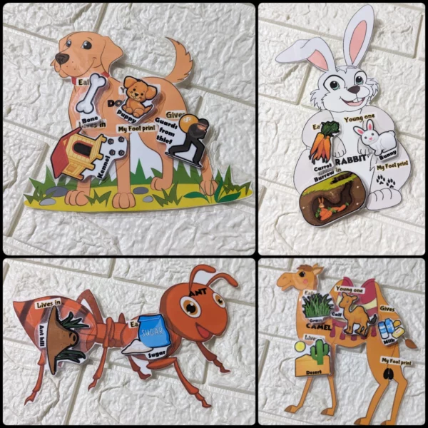 Learn about Farm animals