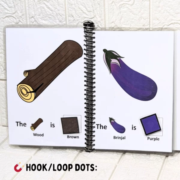 Color Recognition Activities