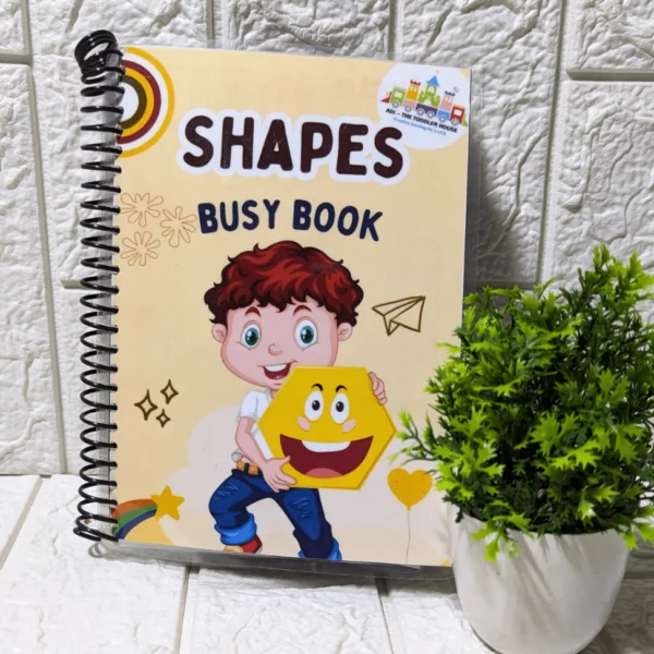Shapes and Objects Matching