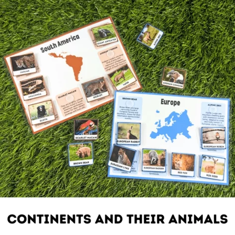 Educational sorting mat for kids learning about continents and animals