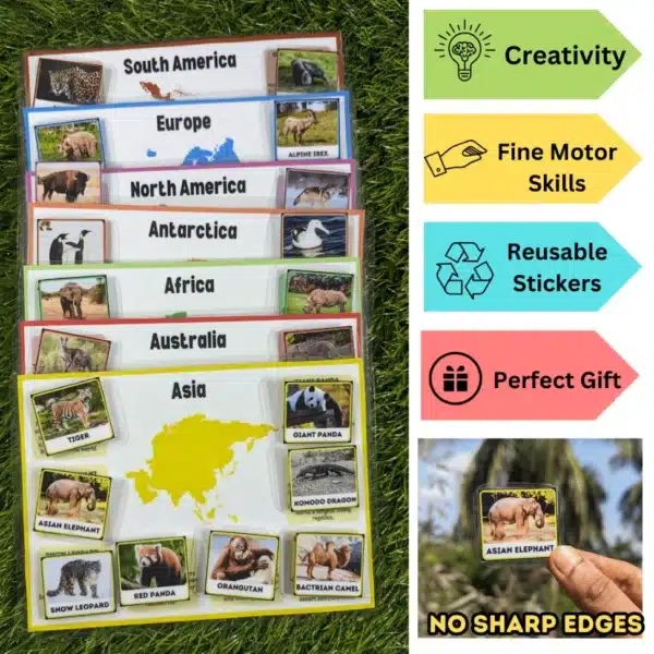 Geography learning toy