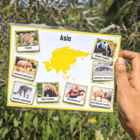 Interactive geography toy for children exploring global diversity