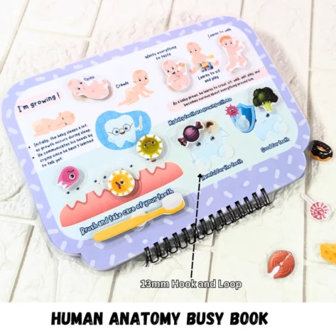 Interactive kids anatomy book